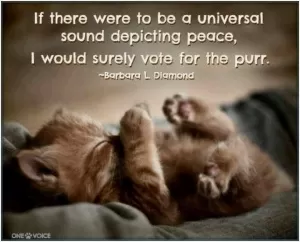 If there were to be a universal sound depicting peace, I would surely vote for the purr Picture Quote #1