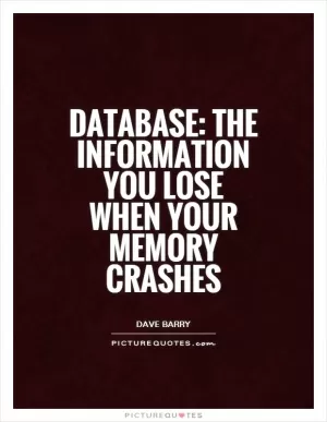 Database: The information you lose when your memory crashes Picture Quote #1