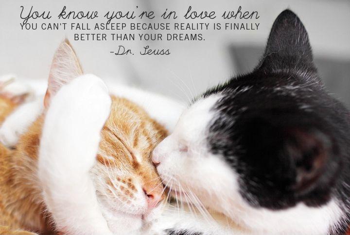 You know you're in love when you can't fall asleep because reality is finally better than your dreams Picture Quote #2