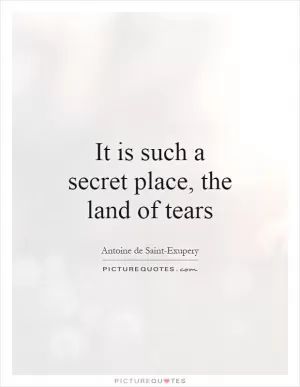 It is such a secret place, the land of tears Picture Quote #1