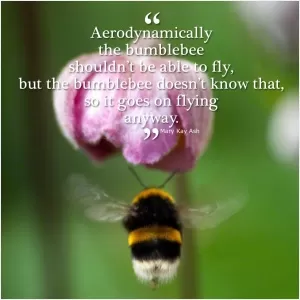 Aerodynamically the bumblebee shouldn't be able to fly, but the bumblebee doesn't know that so it goes on flying anyway Picture Quote #1