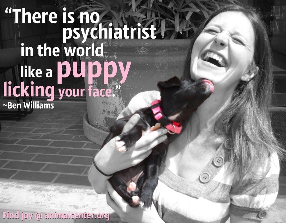 There is no psychiatrist in the world like a puppy licking your face Picture Quote #1