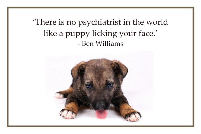 There is no psychiatrist in the world like a puppy licking your face Picture Quote #2