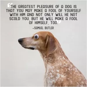 The great pleasure of a dog is that you may make a fool of yourself with him and not only will he not scold you, but he will make a fool of himself too Picture Quote #1