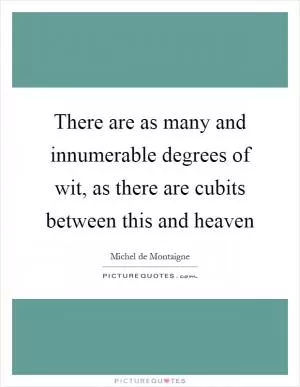 There are as many and innumerable degrees of wit, as there are cubits between this and heaven Picture Quote #1