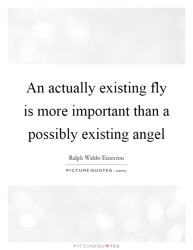 An actually existing fly is more important than a possibly existing angel Picture Quote #1