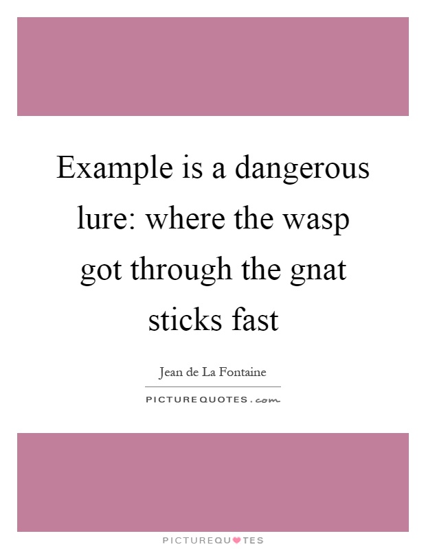 Example is a dangerous lure: where the wasp got through the gnat sticks fast Picture Quote #1