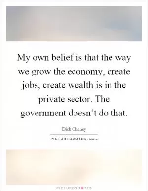 My own belief is that the way we grow the economy, create jobs, create wealth is in the private sector. The government doesn’t do that Picture Quote #1