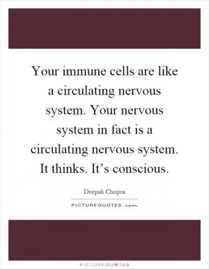 Your immune cells are like a circulating nervous system. Your nervous system in fact is a circulating nervous system. It thinks. It’s conscious Picture Quote #1