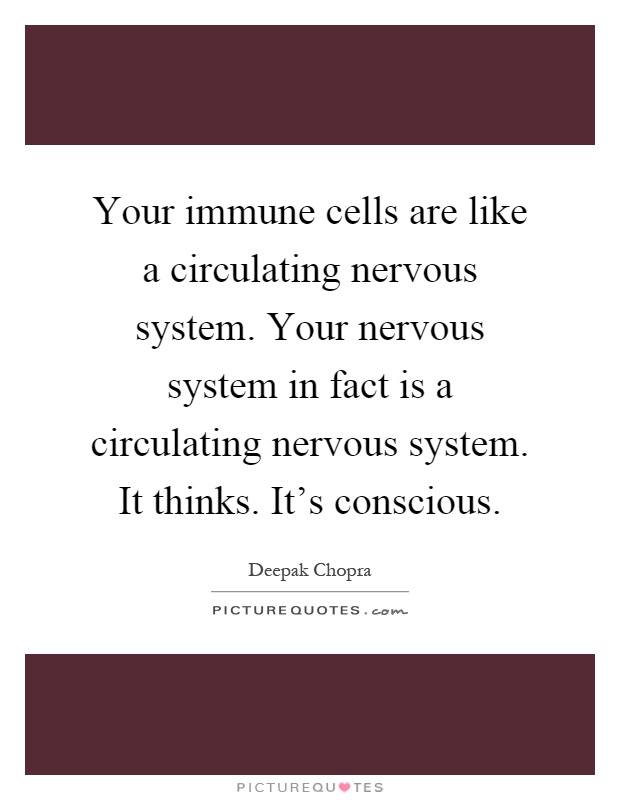 Your immune cells are like a circulating nervous system. Your nervous system in fact is a circulating nervous system. It thinks. It's conscious Picture Quote #1