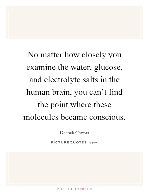 No matter how closely you examine the water, glucose, and electrolyte salts in the human brain, you can't find the point where these molecules became conscious Picture Quote #1