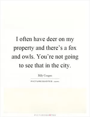 I often have deer on my property and there’s a fox and owls. You’re not going to see that in the city Picture Quote #1