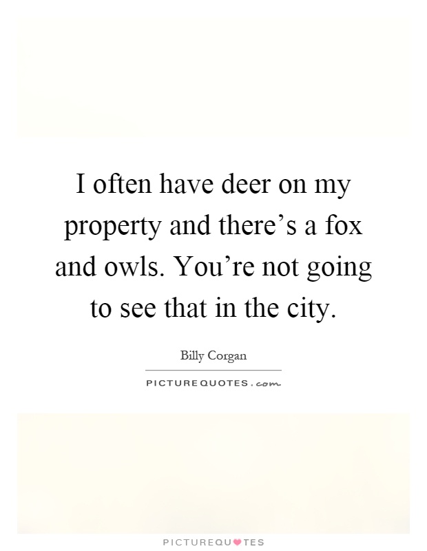 I often have deer on my property and there's a fox and owls. You're not going to see that in the city Picture Quote #1
