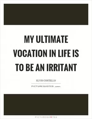 My ultimate vocation in life is to be an irritant Picture Quote #1