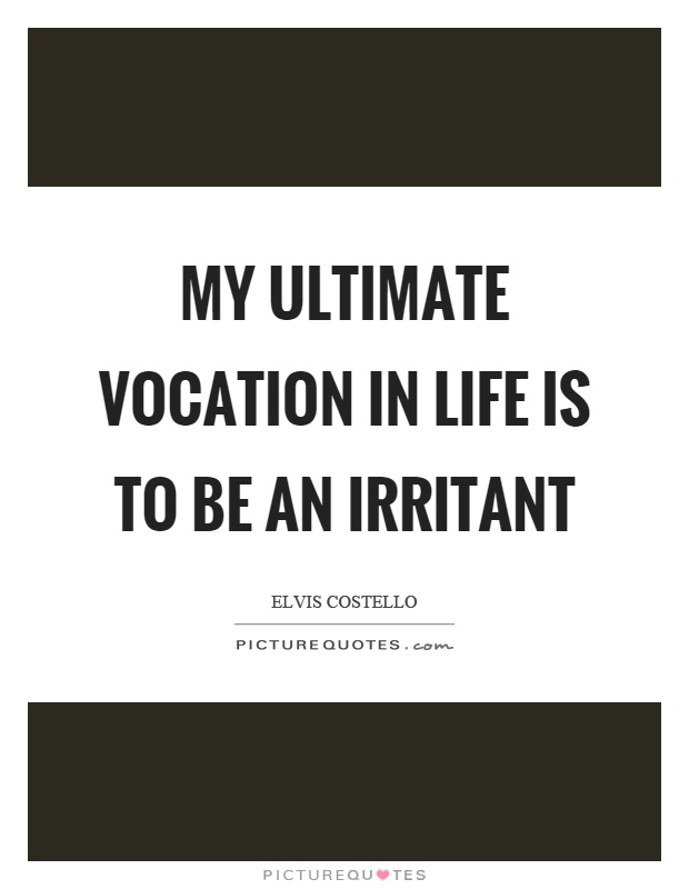 My ultimate vocation in life is to be an irritant Picture Quote #1