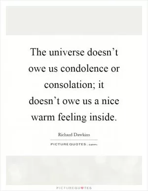 The universe doesn’t owe us condolence or consolation; it doesn’t owe us a nice warm feeling inside Picture Quote #1