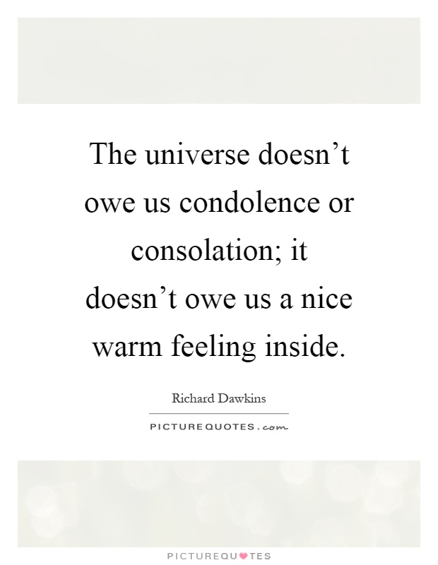 The universe doesn't owe us condolence or consolation; it doesn't owe us a nice warm feeling inside Picture Quote #1