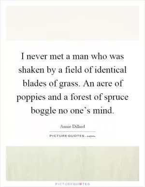 I never met a man who was shaken by a field of identical blades of grass. An acre of poppies and a forest of spruce boggle no one’s mind Picture Quote #1