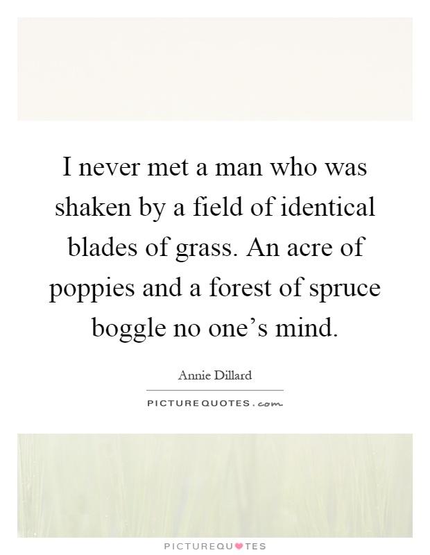 I never met a man who was shaken by a field of identical blades of grass. An acre of poppies and a forest of spruce boggle no one's mind Picture Quote #1