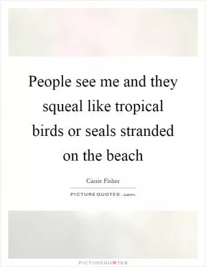 People see me and they squeal like tropical birds or seals stranded on the beach Picture Quote #1