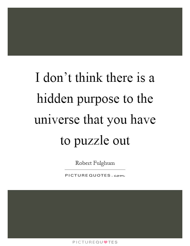 I don't think there is a hidden purpose to the universe that you have to puzzle out Picture Quote #1