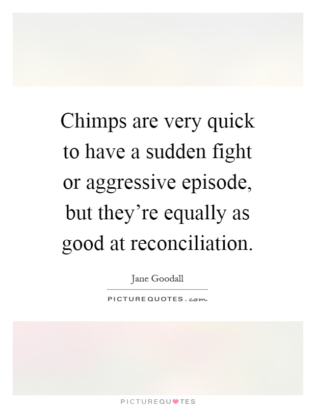 Chimps are very quick to have a sudden fight or aggressive episode, but they're equally as good at reconciliation Picture Quote #1