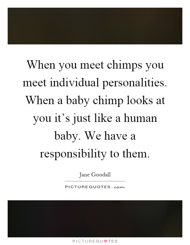 When you meet chimps you meet individual personalities. When a baby chimp looks at you it's just like a human baby. We have a responsibility to them Picture Quote #1