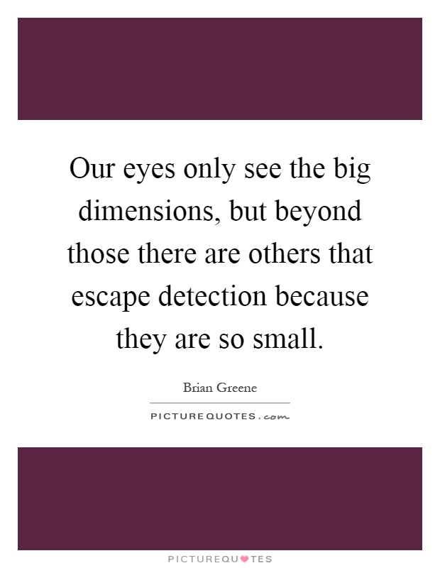 Our eyes only see the big dimensions, but beyond those there are others that escape detection because they are so small Picture Quote #1