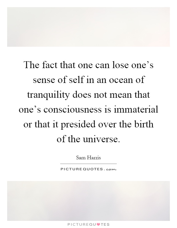 The fact that one can lose one's sense of self in an ocean of tranquility does not mean that one's consciousness is immaterial or that it presided over the birth of the universe Picture Quote #1