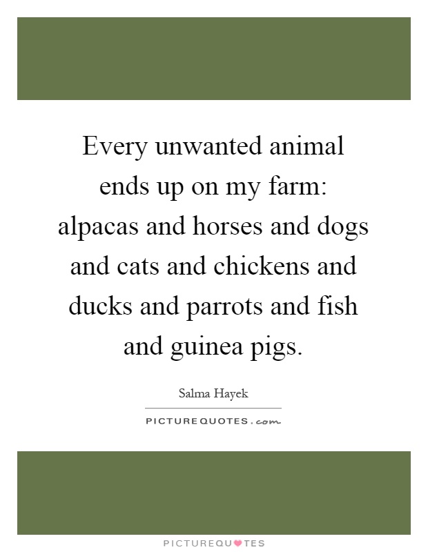 Every unwanted animal ends up on my farm: alpacas and horses and dogs and cats and chickens and ducks and parrots and fish and guinea pigs Picture Quote #1