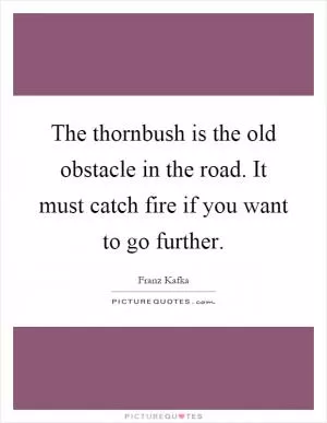 The thornbush is the old obstacle in the road. It must catch fire if you want to go further Picture Quote #1