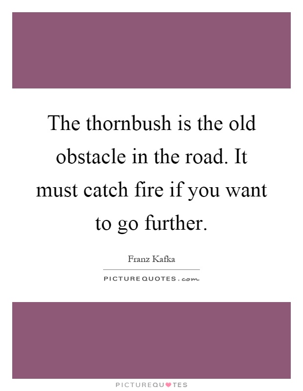 The thornbush is the old obstacle in the road. It must catch fire if you want to go further Picture Quote #1