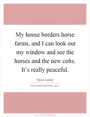 My house borders horse farms, and I can look out my window and see the horses and the new colts. It’s really peaceful Picture Quote #1