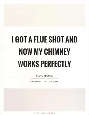 I got a flue shot and now my chimney works perfectly Picture Quote #1