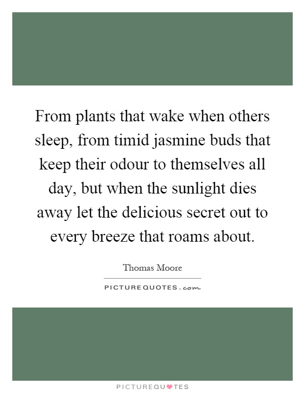 From plants that wake when others sleep, from timid jasmine buds that keep their odour to themselves all day, but when the sunlight dies away let the delicious secret out to every breeze that roams about Picture Quote #1
