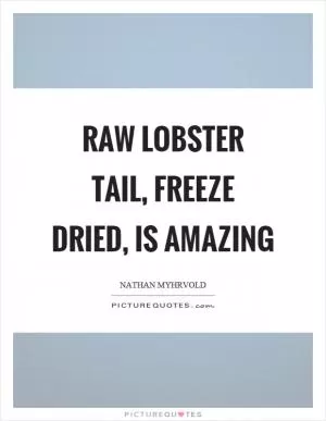 Raw lobster tail, freeze dried, is amazing Picture Quote #1