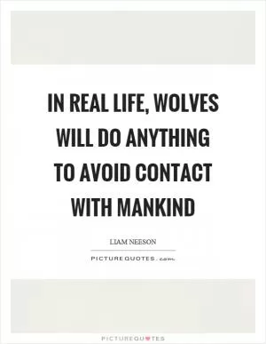 In real life, wolves will do anything to avoid contact with mankind Picture Quote #1