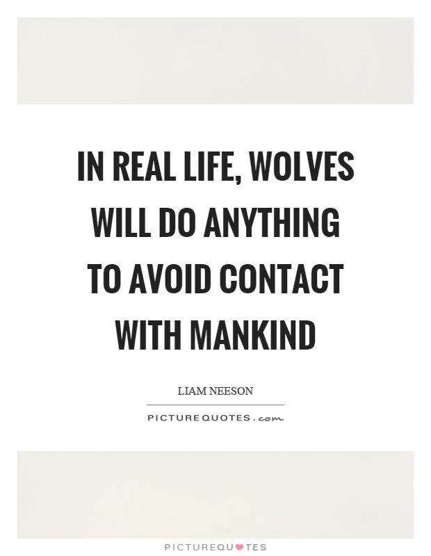 In real life, wolves will do anything to avoid contact with mankind Picture Quote #1