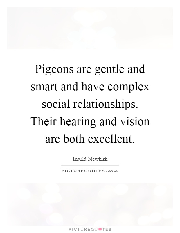 Pigeons are gentle and smart and have complex social relationships. Their hearing and vision are both excellent Picture Quote #1