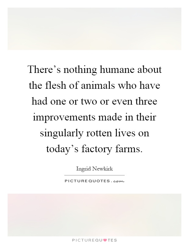 There's nothing humane about the flesh of animals who have had one or two or even three improvements made in their singularly rotten lives on today's factory farms Picture Quote #1