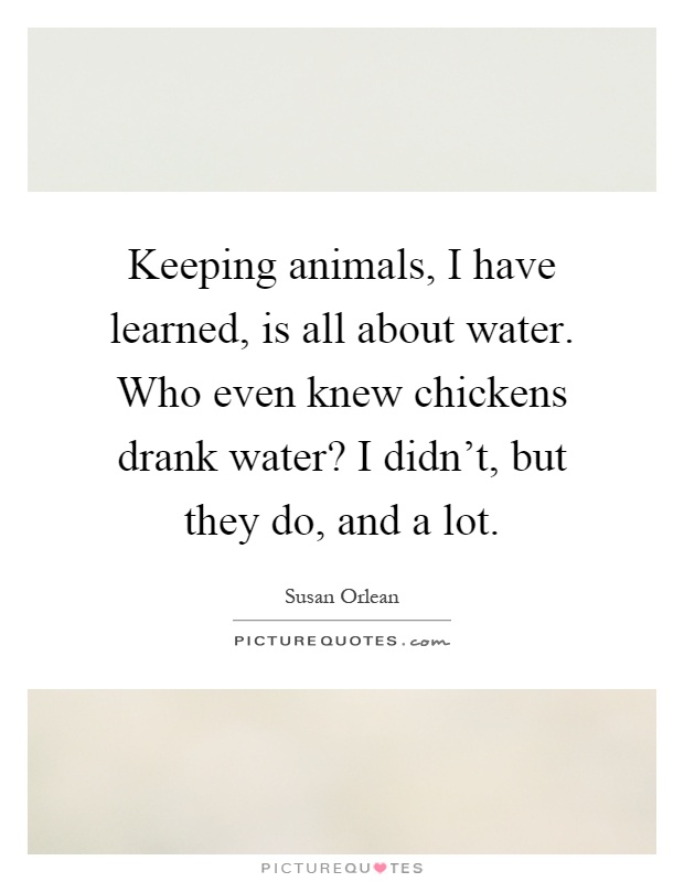 Keeping animals, I have learned, is all about water. Who even knew chickens drank water? I didn't, but they do, and a lot Picture Quote #1