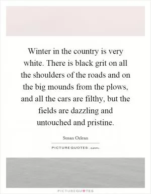 Winter in the country is very white. There is black grit on all the shoulders of the roads and on the big mounds from the plows, and all the cars are filthy, but the fields are dazzling and untouched and pristine Picture Quote #1