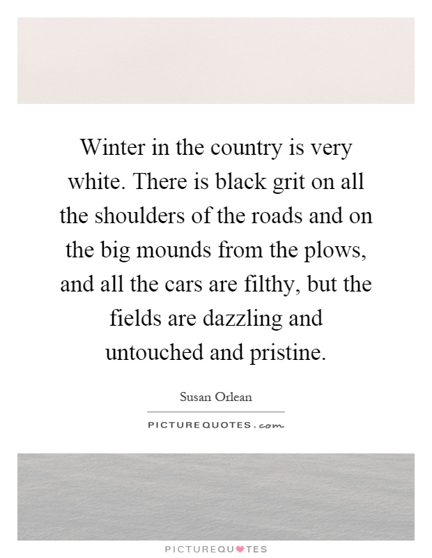Winter in the country is very white. There is black grit on all the shoulders of the roads and on the big mounds from the plows, and all the cars are filthy, but the fields are dazzling and untouched and pristine Picture Quote #1