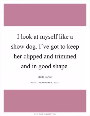 I look at myself like a show dog. I’ve got to keep her clipped and trimmed and in good shape Picture Quote #1