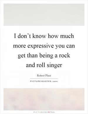 I don’t know how much more expressive you can get than being a rock and roll singer Picture Quote #1