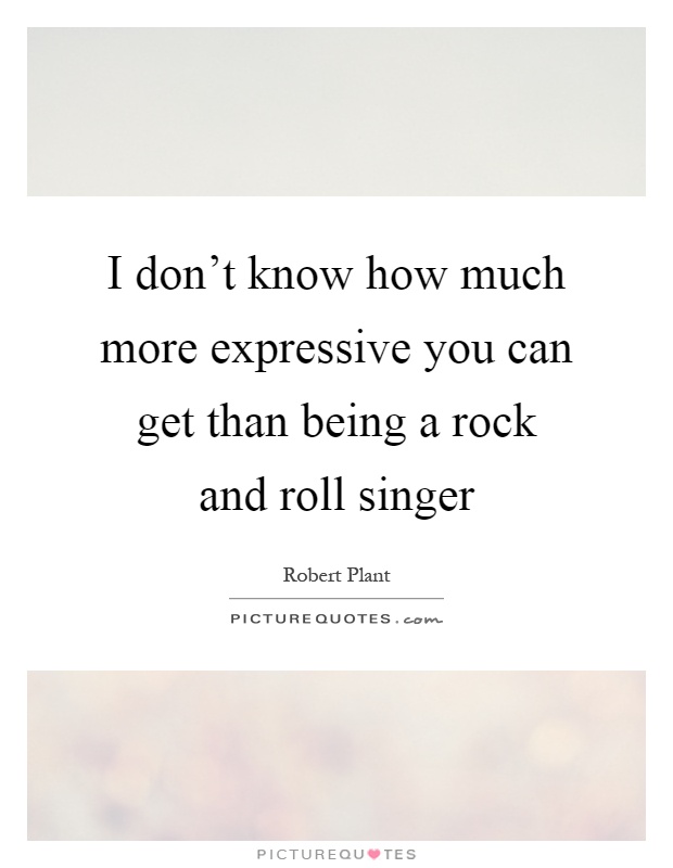 I don't know how much more expressive you can get than being a rock and roll singer Picture Quote #1