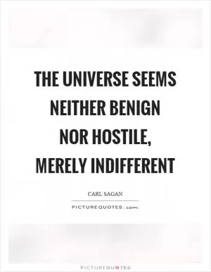 The universe seems neither benign nor hostile, merely indifferent Picture Quote #1