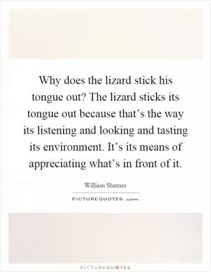 Why does the lizard stick his tongue out? The lizard sticks its tongue out because that’s the way its listening and looking and tasting its environment. It’s its means of appreciating what’s in front of it Picture Quote #1