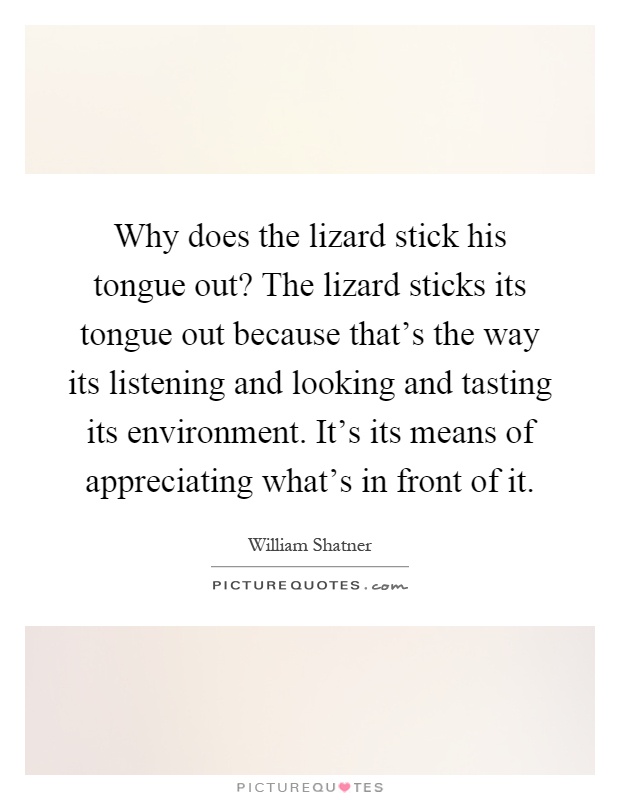 Why does the lizard stick his tongue out? The lizard sticks its tongue out because that's the way its listening and looking and tasting its environment. It's its means of appreciating what's in front of it Picture Quote #1