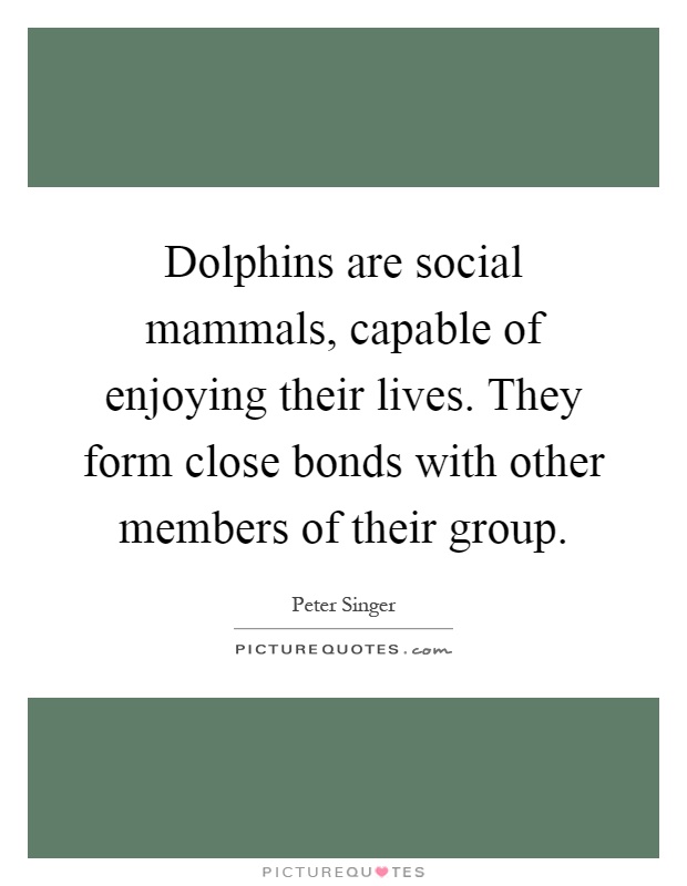 Dolphins are social mammals, capable of enjoying their lives. They form close bonds with other members of their group Picture Quote #1
